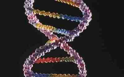 Epigenetic Factors to Reduce Breast Cancer Risk – Part 1